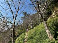 山野戀露營區