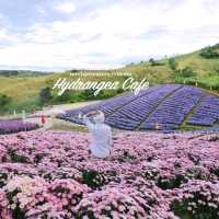 ไฮเดรนเยีย คาเฟ่ เขาค้อ - Hydrangea Cafe 