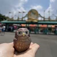 童年的回憶六福村主題遊樂園！