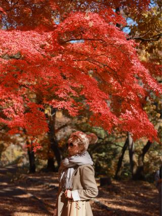 [Chichibu] Unexpectedly beautiful autumn leaves discovered in Nagatoro