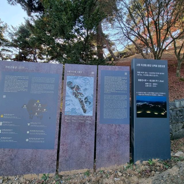 세계문화유산으로 등재된 대가야 고분군 보러가자.
