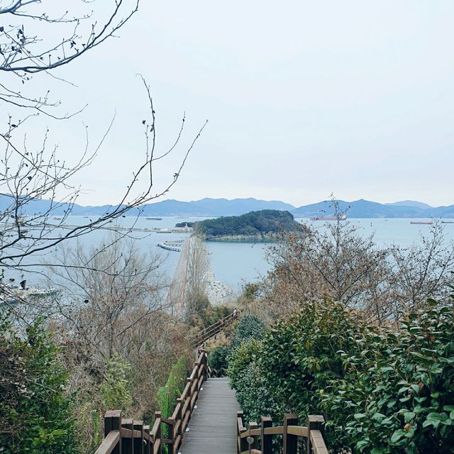 주민들의 운동장🚶‍♂️🚶‍♀️