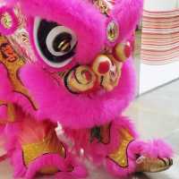太古廣場 , 舞獅獻瑞 ！ 開年大吉！鑼鼓喧天！ 振奮心弦！ 