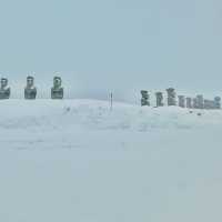 激レア！雪の中のモアイ像
