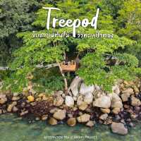 Treepod 