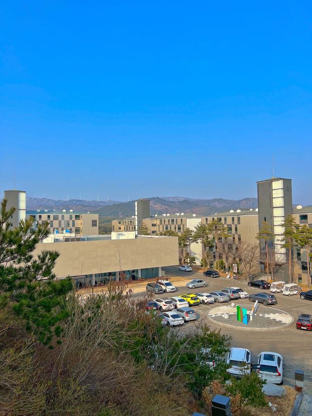 가성비 좋은 강원도 양양 더앤리조트😄