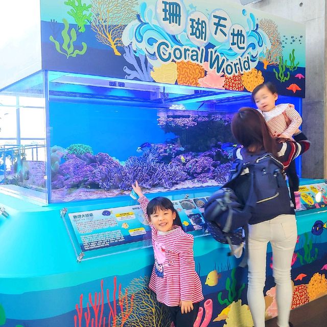 天水圍濕地公園 貝貝之家