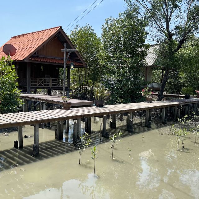 ศูนย์อนุรักษ์ป่าชายเลนคลองโคน