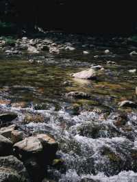 อุทยานแห่งชาติน้ำตกโยง อ.ทุ่งสง จ.นครศรีธรรมราช 