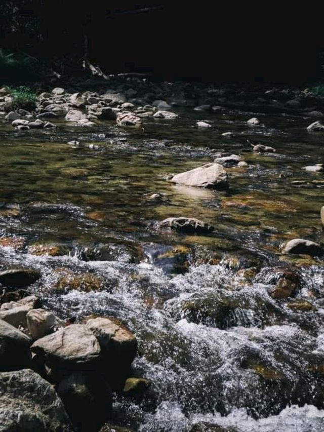 อุทยานแห่งชาติน้ำตกโยง อ.ทุ่งสง จ.นครศรีธรรมราช 