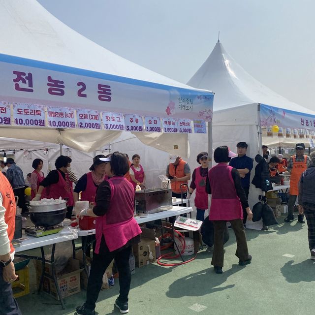 산책하며 즐기는 서울 벚꽃축제, 중랑천 벚꽃길❤️