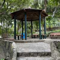 Montanha Russa Park Nature 