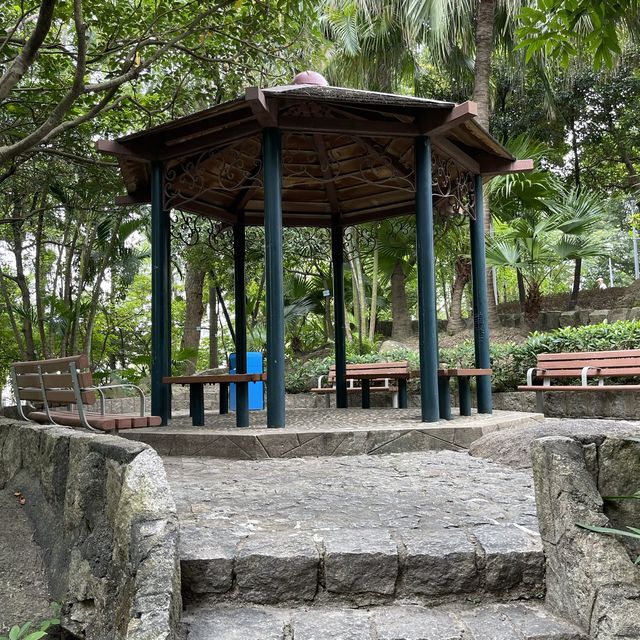 Montanha Russa Park Nature 