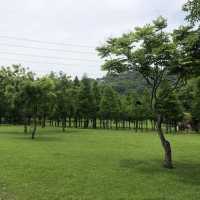 大溪河濱公園