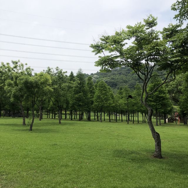 大溪河濱公園