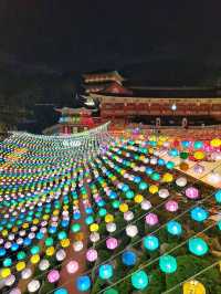 CNN선정 한국의 아름다운 명소, 삼광사 연등축제🪷✨️