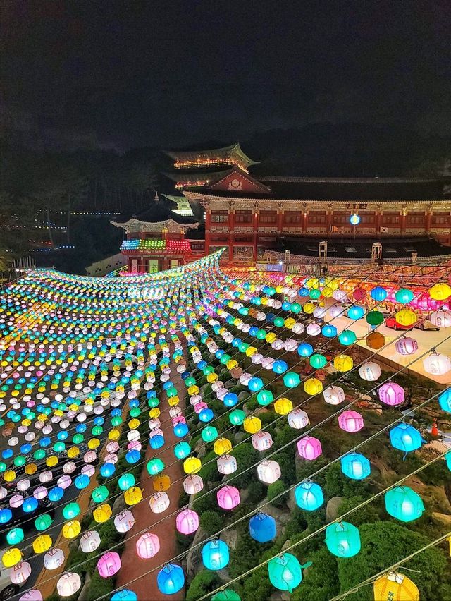 CNN선정 한국의 아름다운 명소, 삼광사 연등축제🪷✨️
