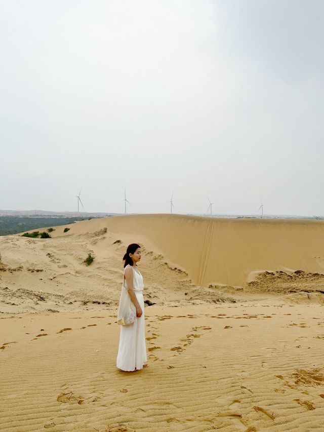 동남아에서 만나는 사막! 나트랑 무이네 화이트샌듄🏜️