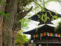 【足利の社寺】（栃木県足利市　旧国名：下野）