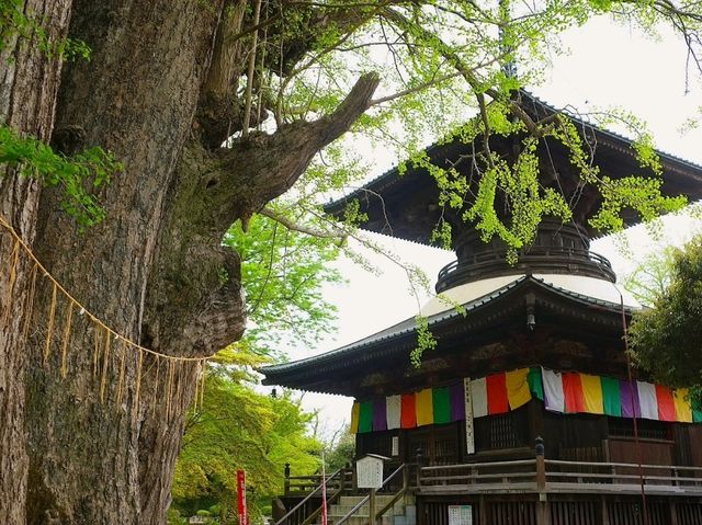 【足利の社寺】（栃木県足利市　旧国名：下野）