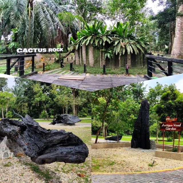 Educational Spritzer EcoPark in Taiping