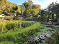 Escape to Yao island-Paradise Kohyao