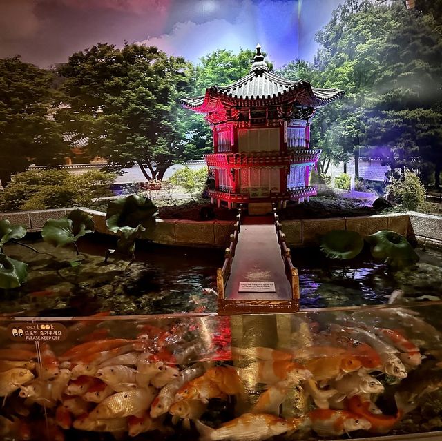 帶小朋友一起探索大海的奧秘 🐠🦑🌊