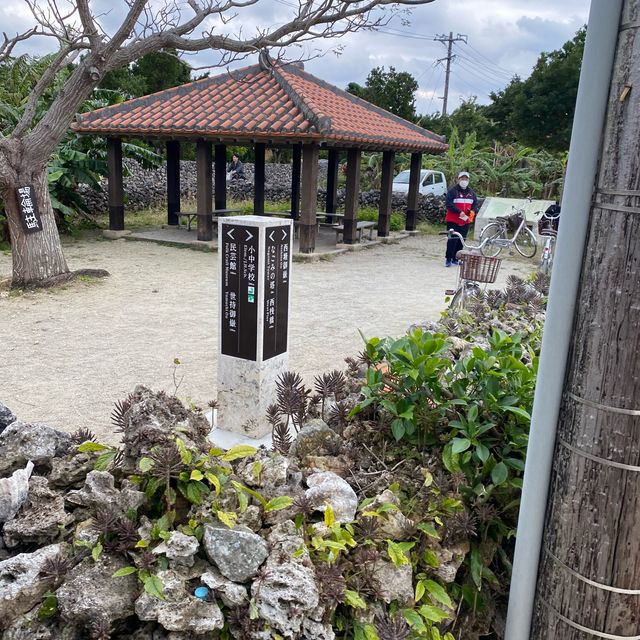 竹富島「水牛車コース」ニーラン君はのんびり集落を歩いてくれました