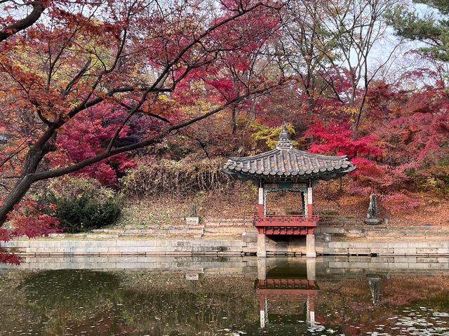 🍁 Seoul Beautiful in Fall 🍁