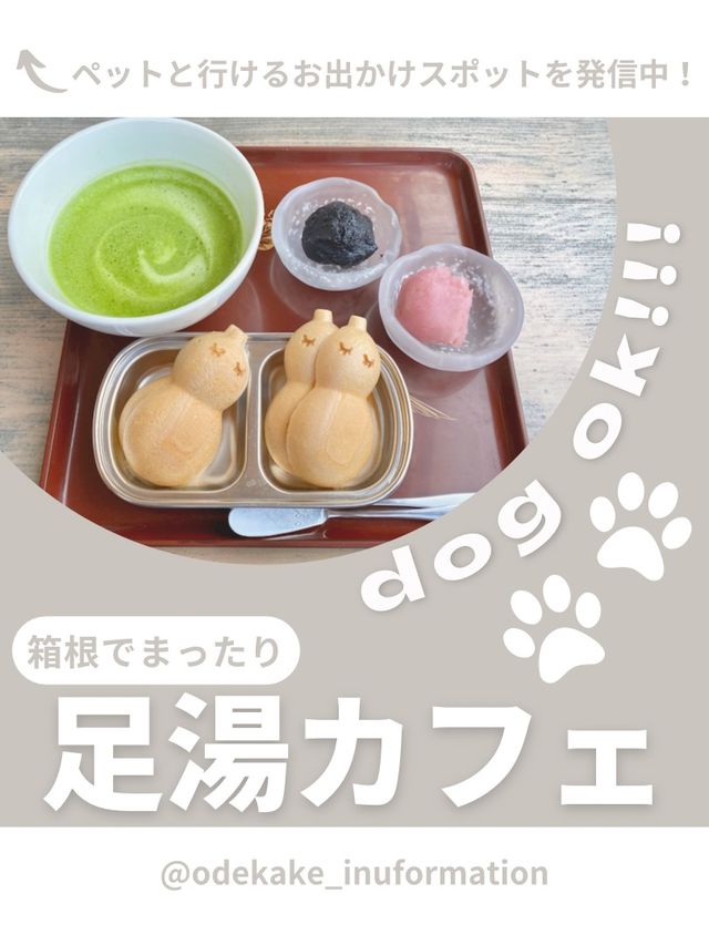 【箱根】わんこと行ける足湯カフェ♨️