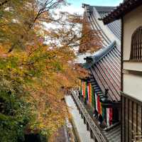 【京都NO.1紅葉🍁スポット、永観堂】