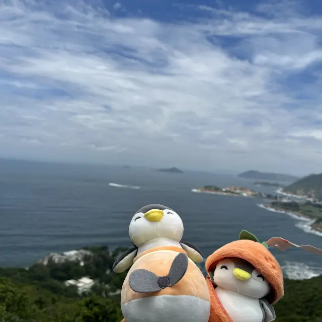 飛機鵝和橙鵝烈日行山🥵