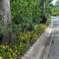 สวนจตุจักร 🌳”🚶🏻‍♀️..🚶🏻— เที่ยววันหยุด!!!!