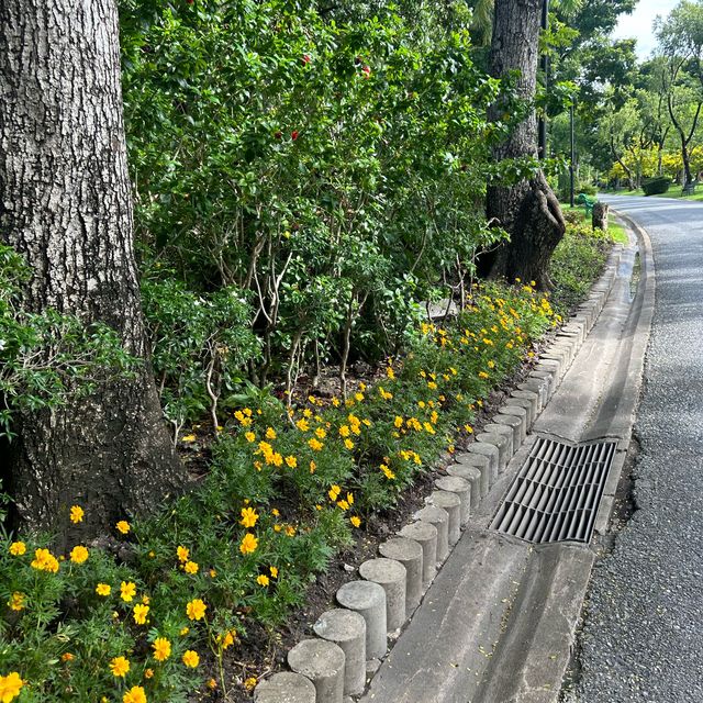 สวนจตุจักร 🌳”🚶🏻‍♀️..🚶🏻— เที่ยววันหยุด!!!!