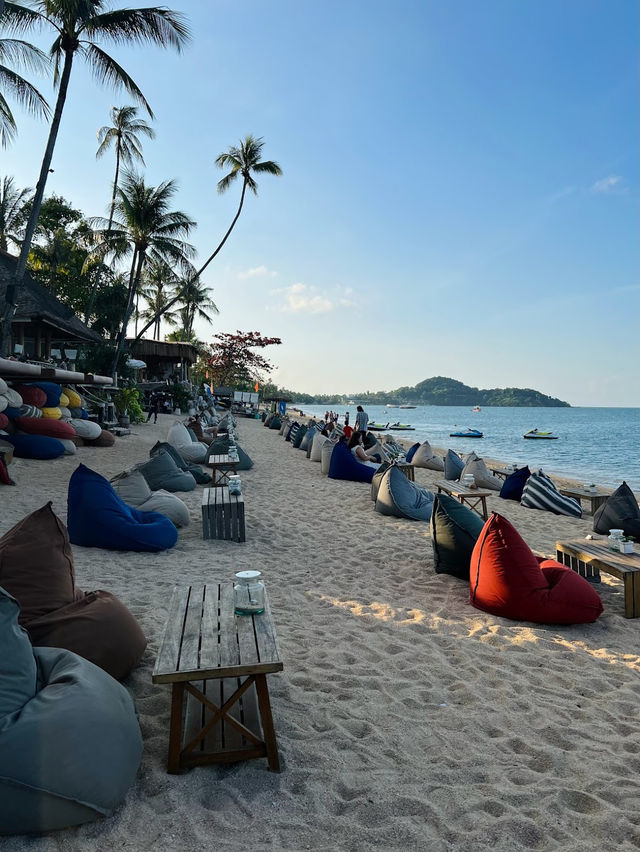 • Coco Tam’s X Peppina 🏝️