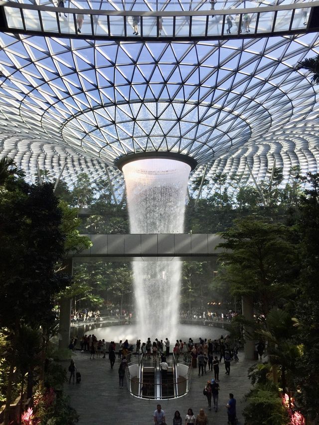 新加坡樟宜機場*星耀樟宜*