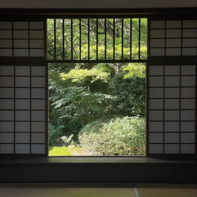 源光庵～美麗靜謐庭園🌸🏯
