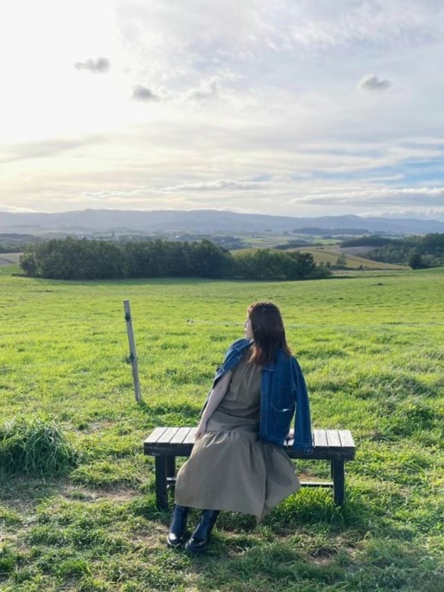 美瑛で行きたい🤍絵本に出てきそうな美しい牧場🐄‪🌱‬🥺【北海道】