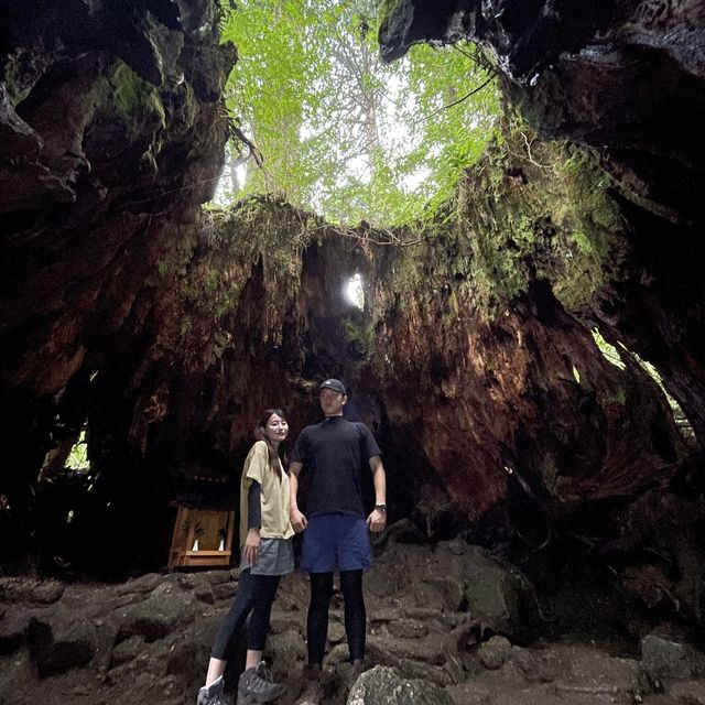【屋久島】縄文杉トレッキングツアー