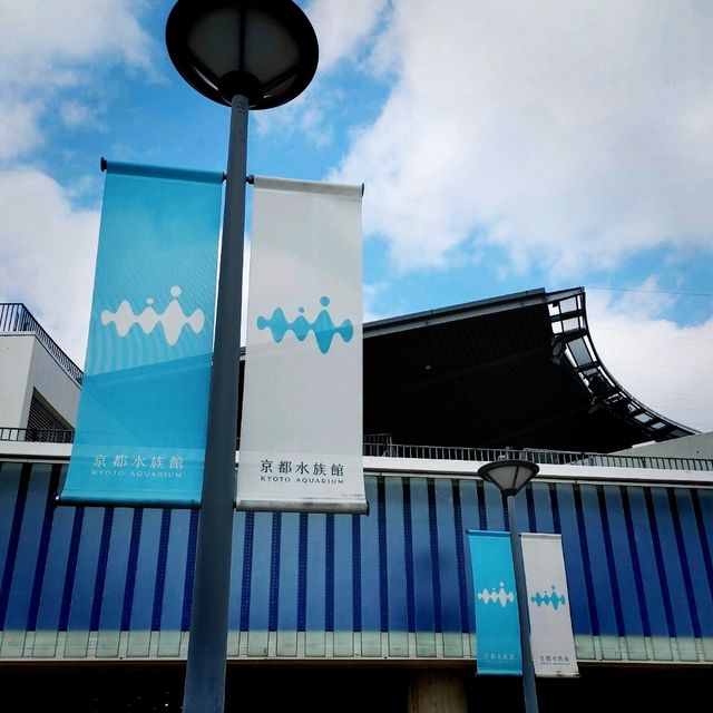 京都水族館新展示エリア！クラゲワンダー