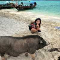 มาเยี่ยม น้องหมู อู๊ด อู๊ด