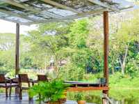 Light Beverage and MORE คาเฟ่กลางเมืองเชียงใหม่