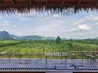 ไร่ชา 1000 mile พัทลุง