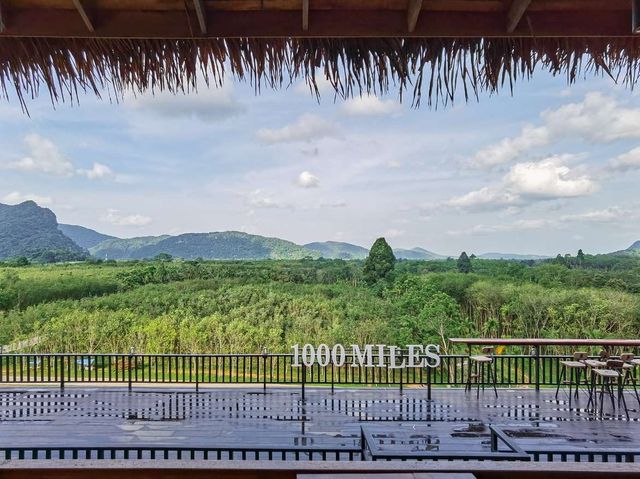 ไร่ชา 1000 mile พัทลุง