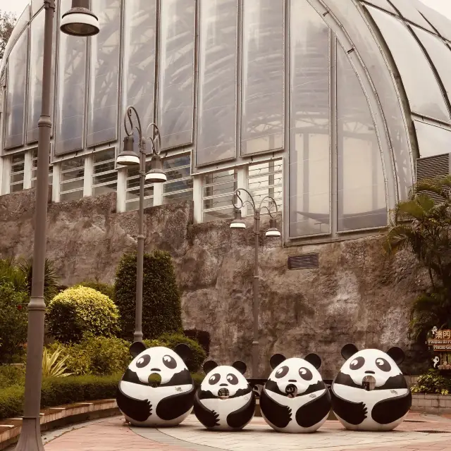 Macao Giant Panda Pavilion