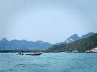 Pink Dolphins at Khanom, Nakhon Si Thammarat 