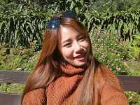 เที่ยวชมธรรมชาติที่พระตำหนักภูพิงคราชนิเวศน์