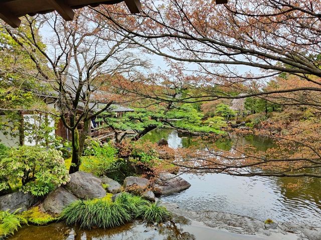 Himeji Castle and its Gardens 🏯