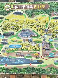 💛서산 유기방가옥 수선화축제💛