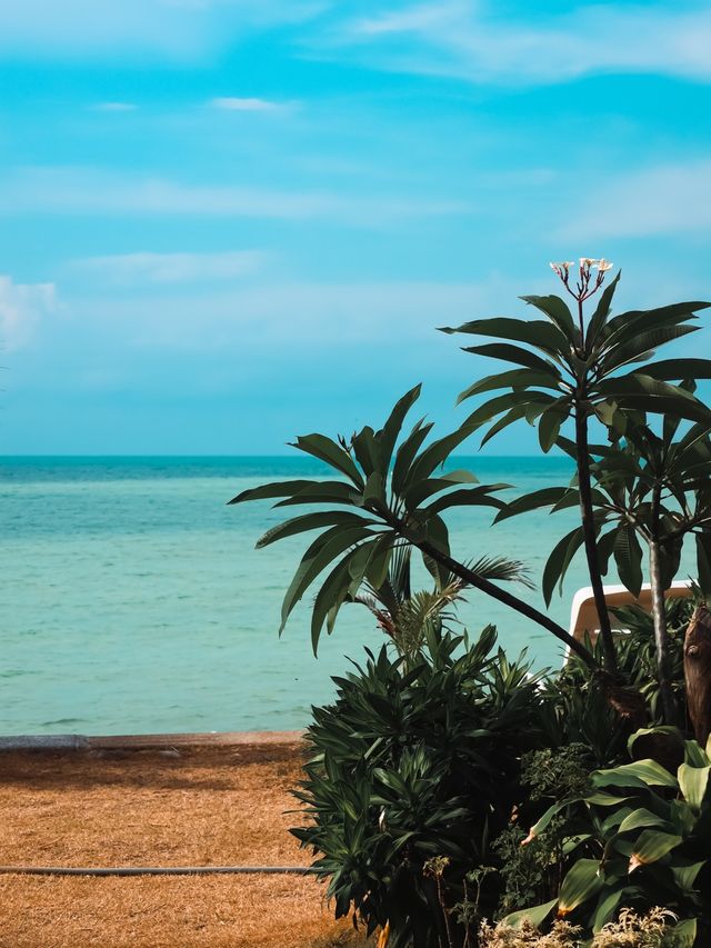 Casa Del Mar Hotel, Koh Samui✈️🇹🇭🌴